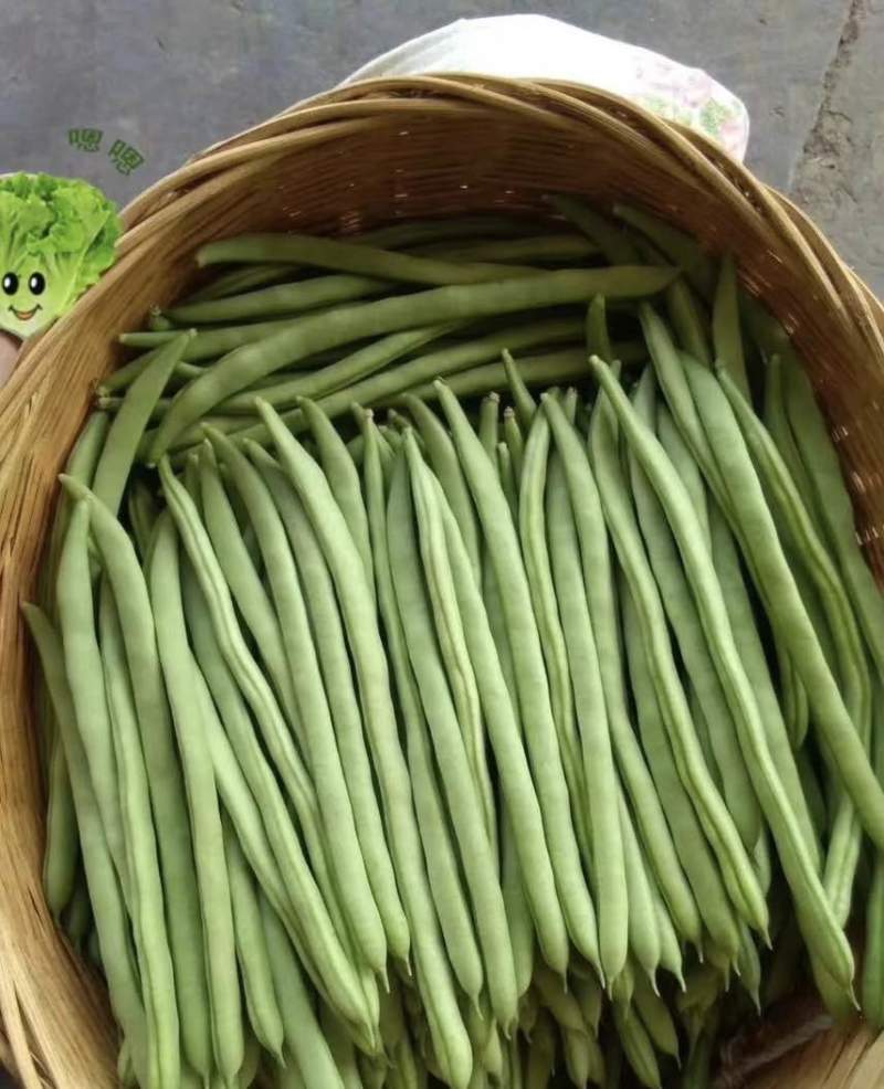 基地直发量大价优接各种品级货一手价格