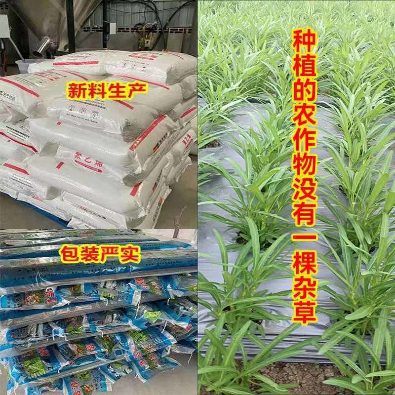 地膜打孔地膜生产厂家直销
