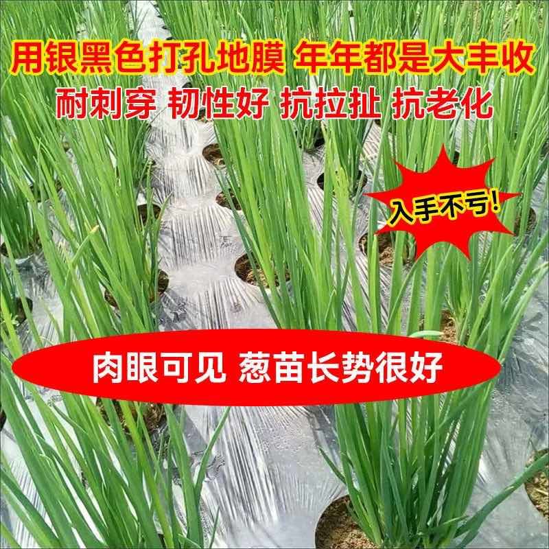 地膜打孔地膜生产厂家直销