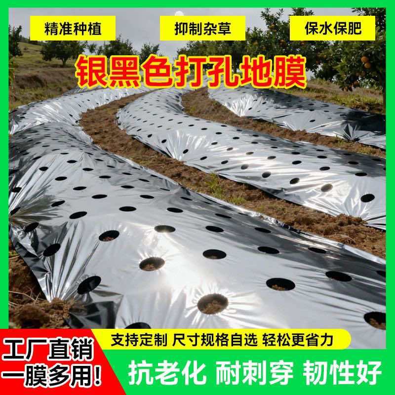 地膜打孔地膜生产厂家直销