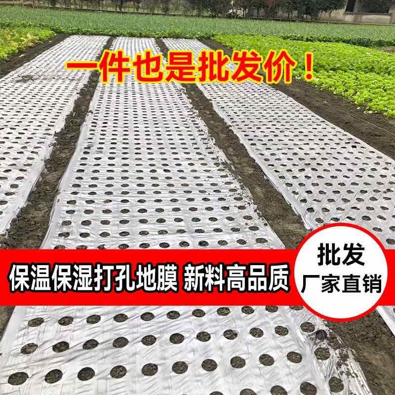 地膜打孔地膜生产厂家直销