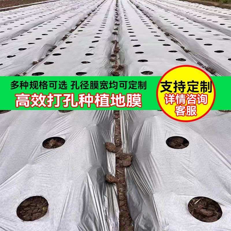 地膜打孔地膜生产厂家直销