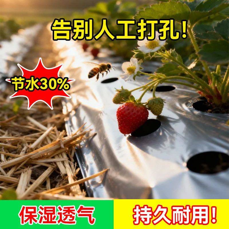 地膜打孔地膜生产厂家直销