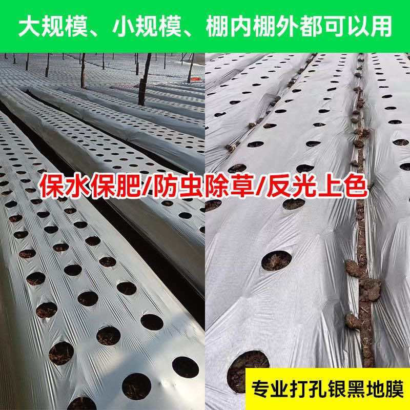 地膜打孔地膜生产厂家直销