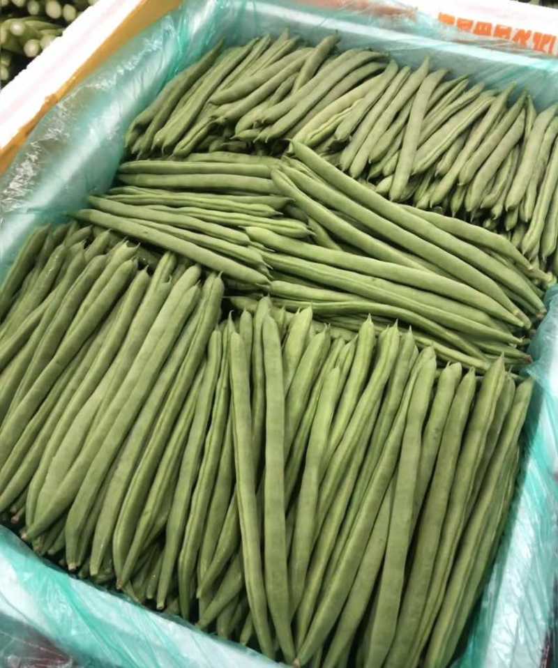 全年供应基地直发电商货市场货商超货量大价优稳定输出