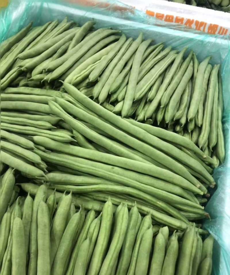 全年供应基地直发电商货市场货商超货量大价优稳定输出