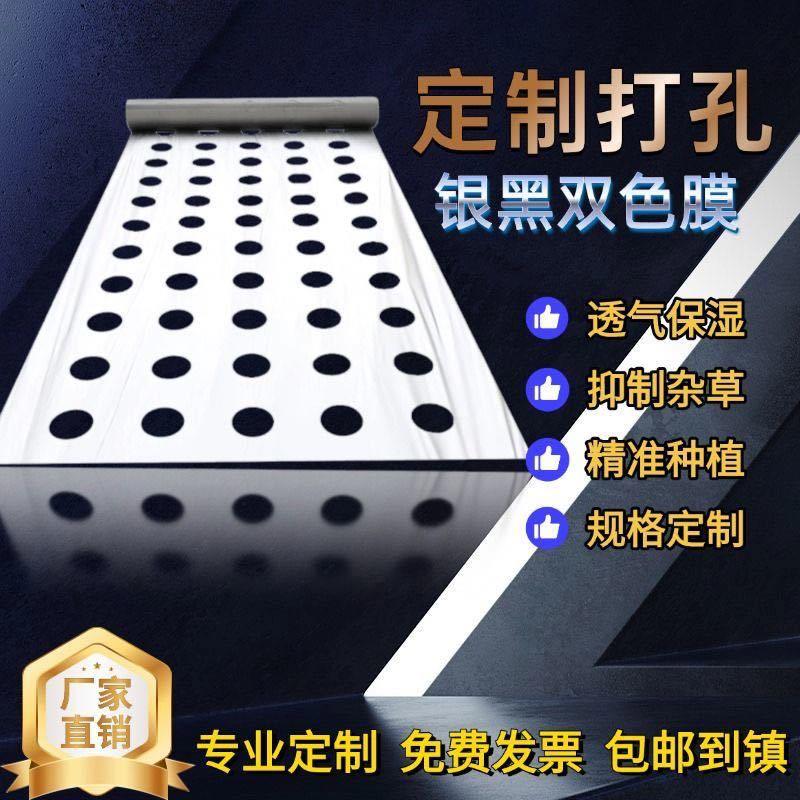 地膜打孔大小尺寸均可定制
