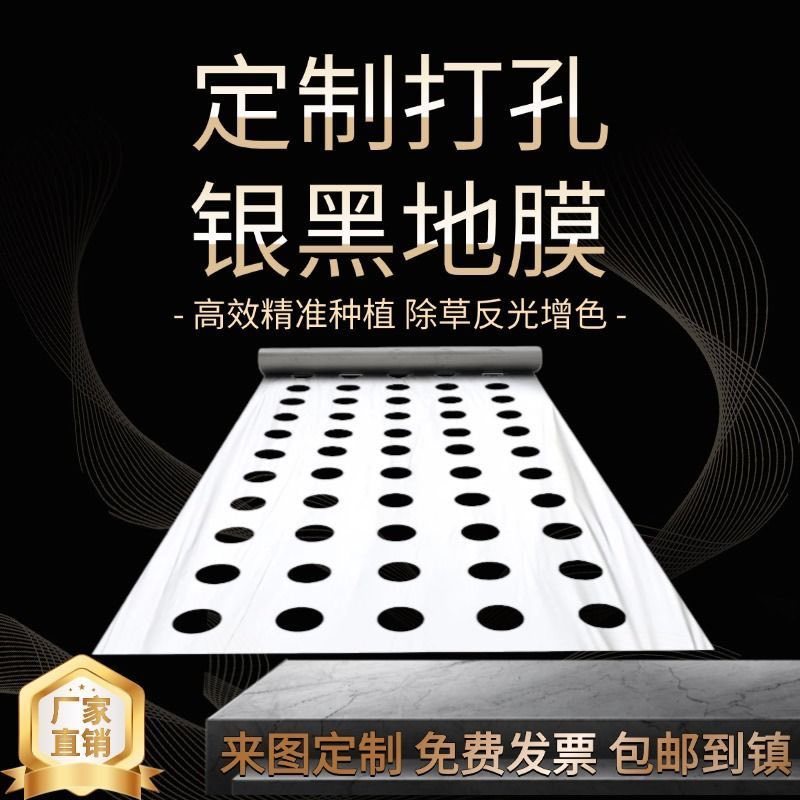 地膜打孔大小尺寸均可定制