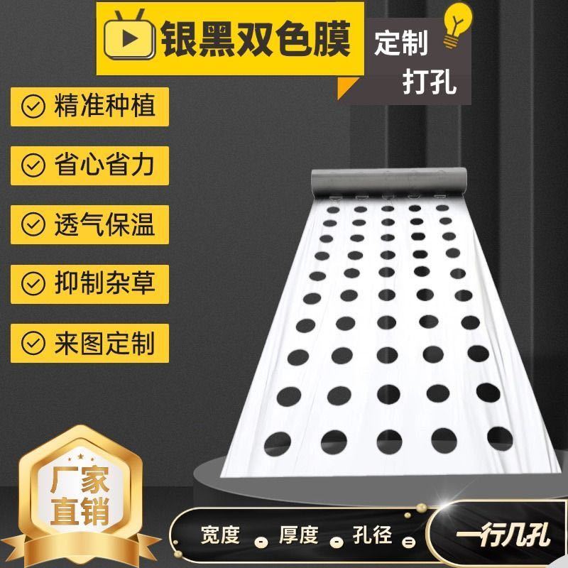 地膜打孔大小尺寸均可定制