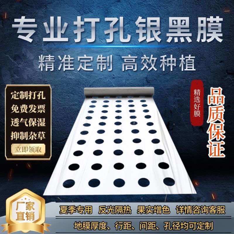 地膜打孔大小尺寸均可定制