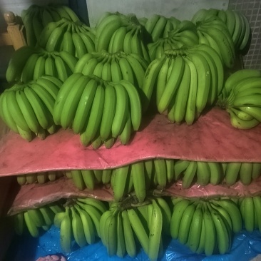香蕉