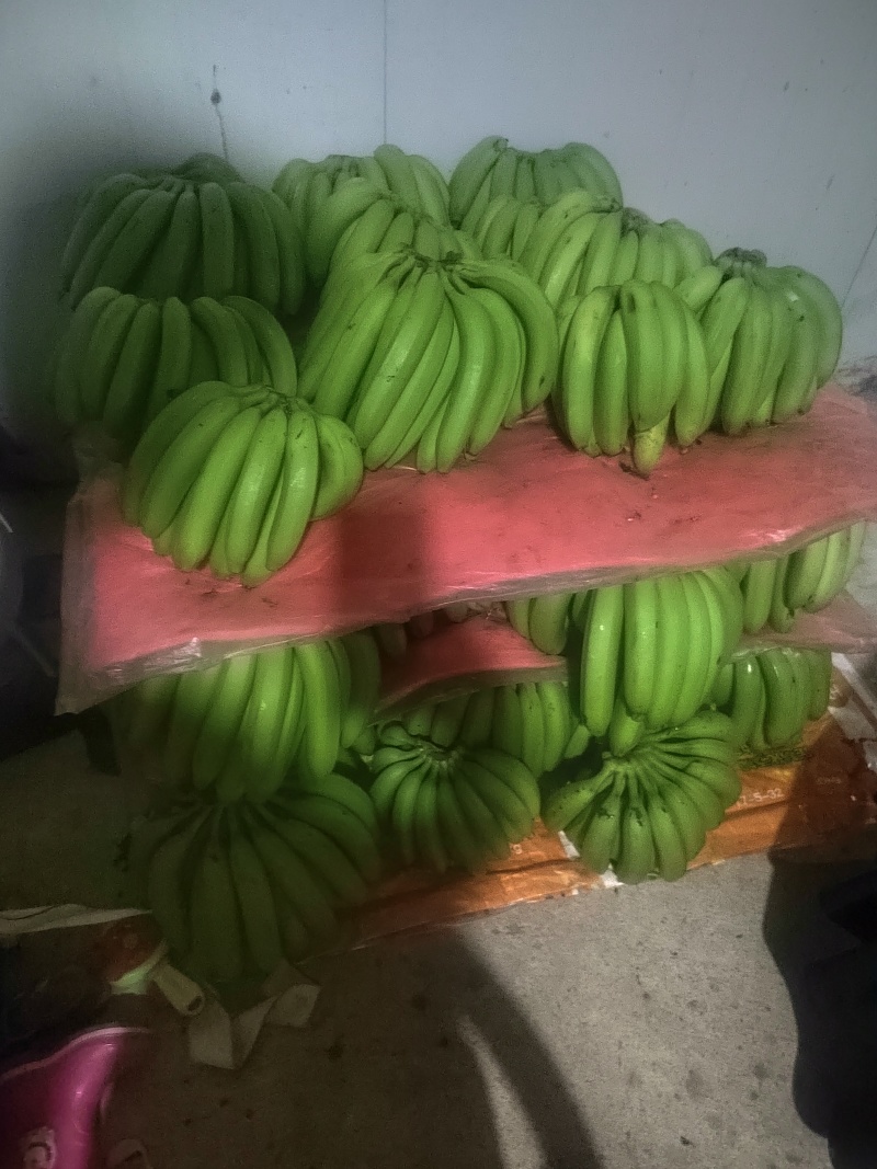 香蕉