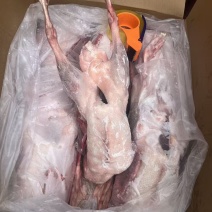 一级带心肝全鹅36斤5只装质量保证
