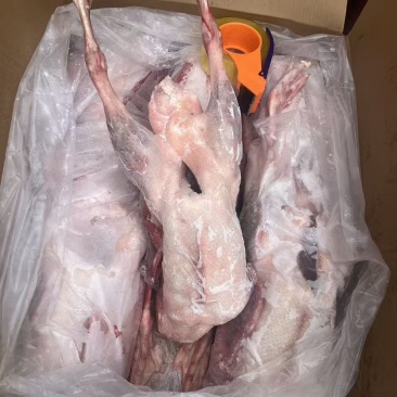 一级带心肝全鹅36斤5只装质量保证
