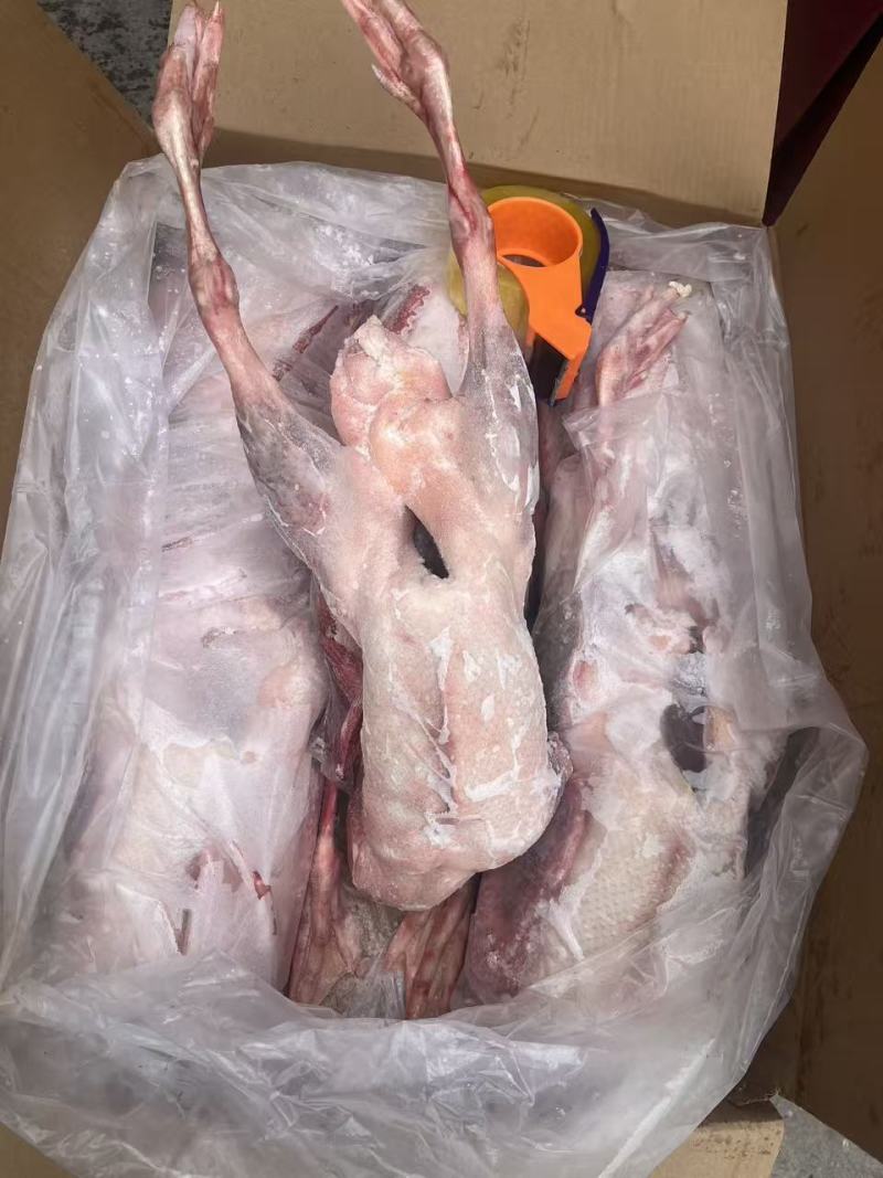 一级带心肝全鹅36斤5只装质量保证