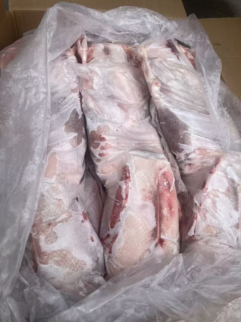 一级带心肝全鹅36斤5只装质量保证