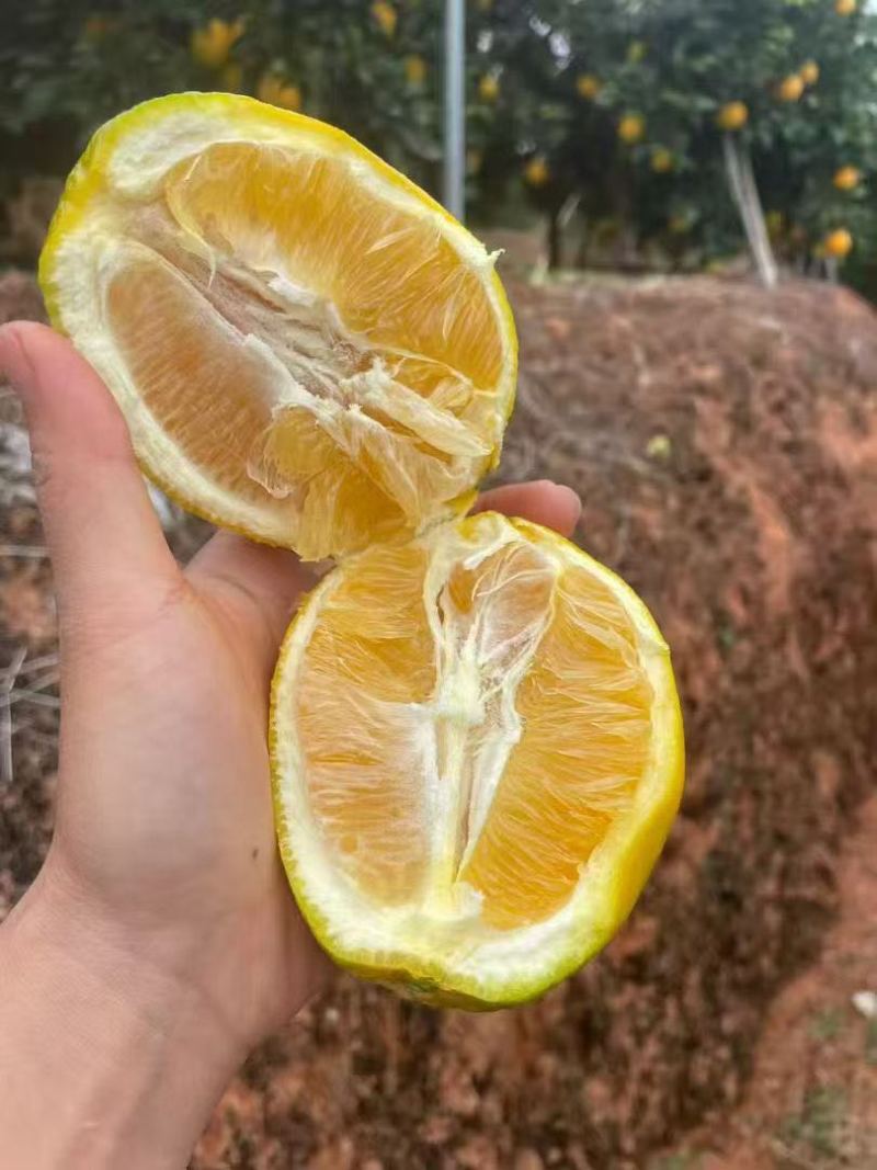 需要电联