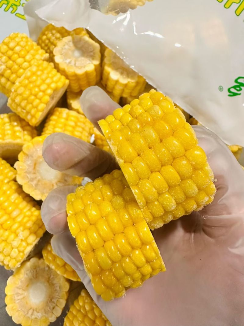 东北黑土地粘糯玉米