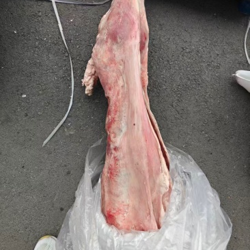 烤全羊新鲜纯干，瘦度高，纯干货