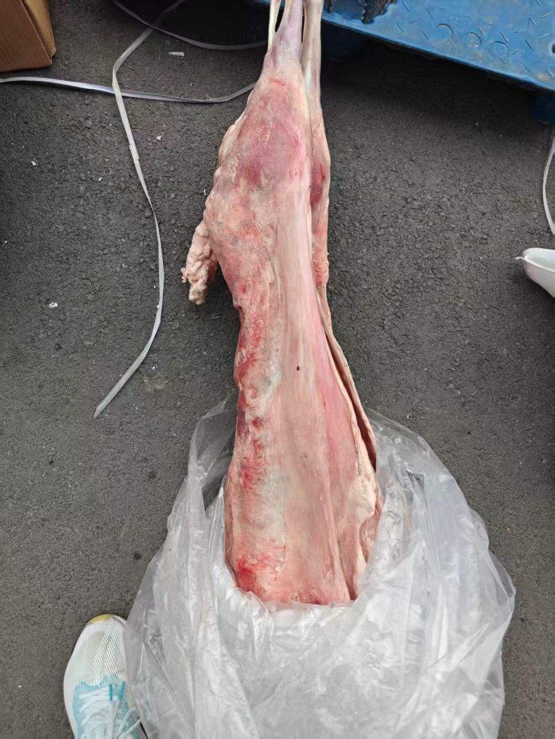 烤全羊新鲜纯干，瘦度高，纯干货