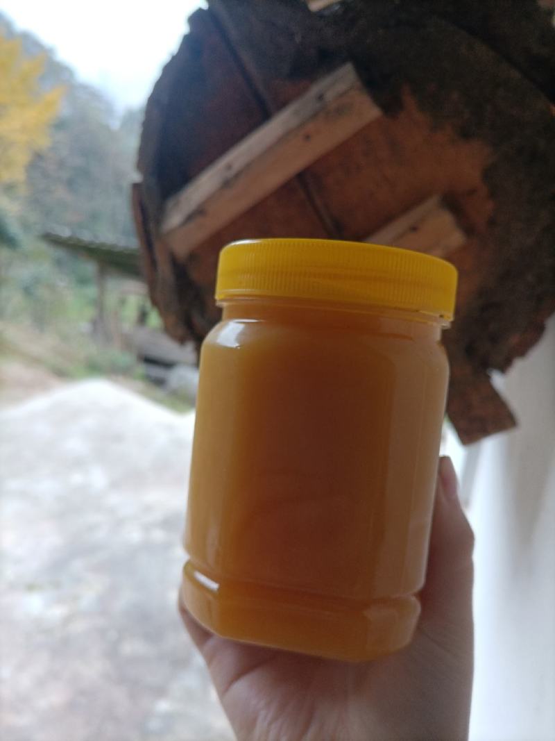 土蜂蜜