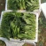精品波菜