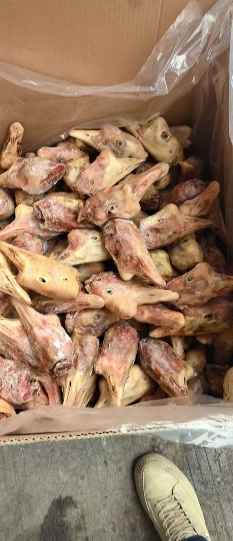 带舌老鹅头东北工厂发货质量保证