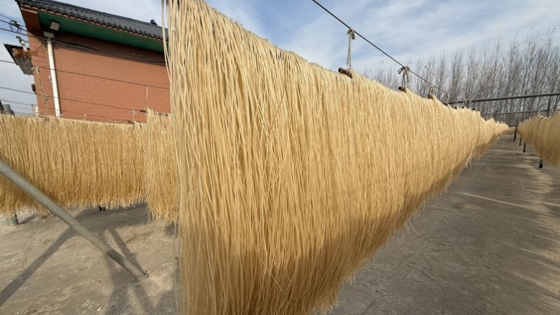 【推荐】一手纯手工红薯粉条常年供应商超市场发全国证件齐全