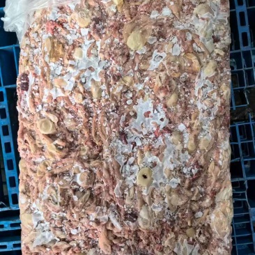 炼油用鸡嗉袋