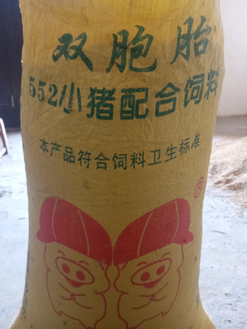 稻谷，品种兆优5431，早稻