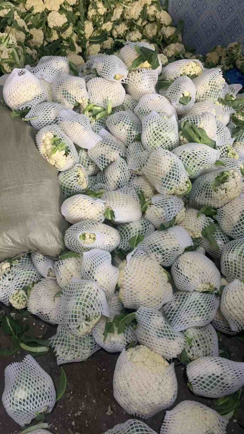 青梗白面菜花