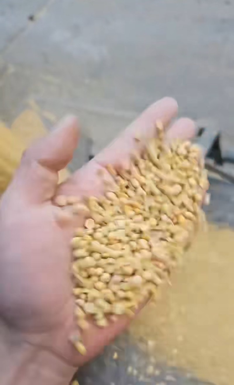碎黄豆