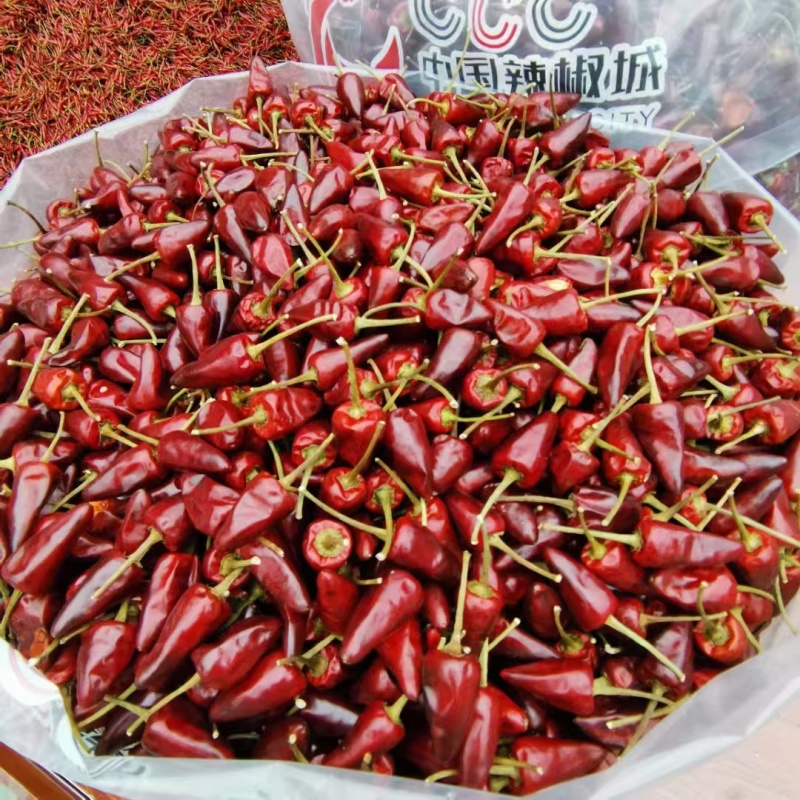 贵州本地高山干辣椒，满天星，艳椒系列，天香子弹，大量有货