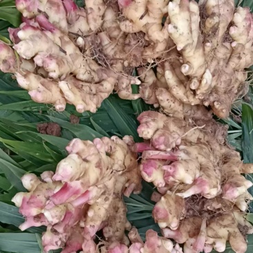 卖蔬菜
