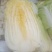 玲珑黄心白菜