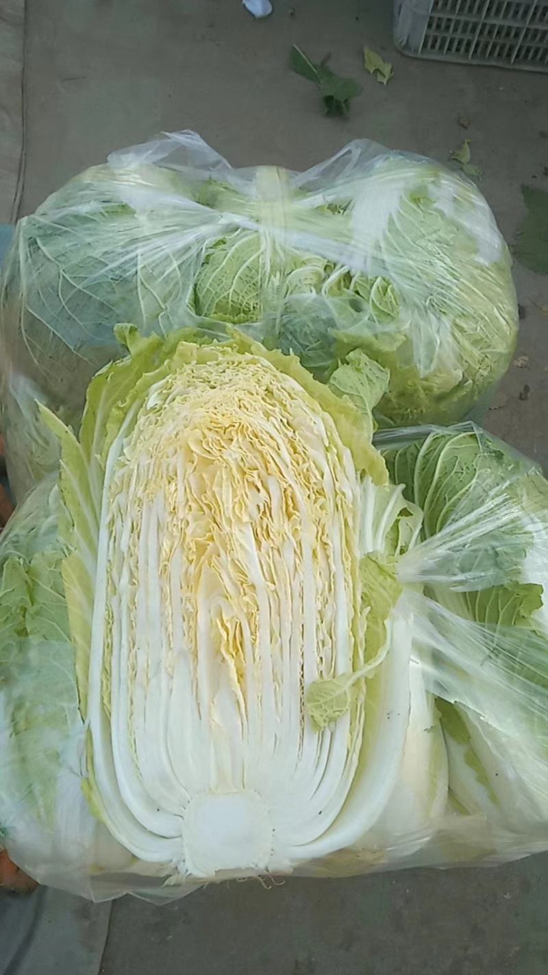 玲珑黄心白菜