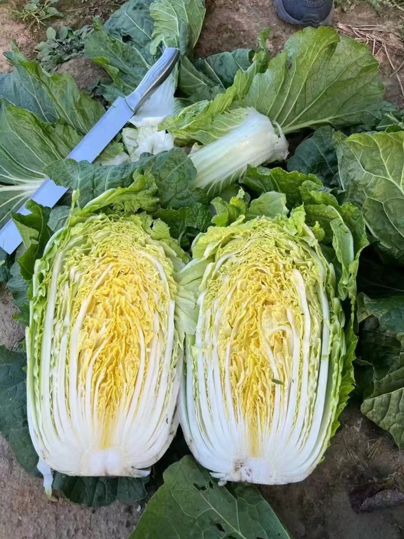 玲珑黄心白菜