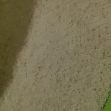 开阳新米