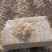 玉米秸秆柔丝除尘小方包无土无膜无滴灌带水分保过夏