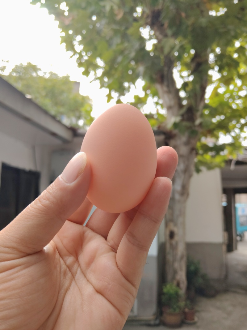 自家养的鸡下的蛋