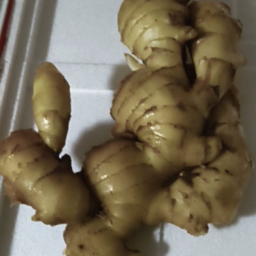 生姜