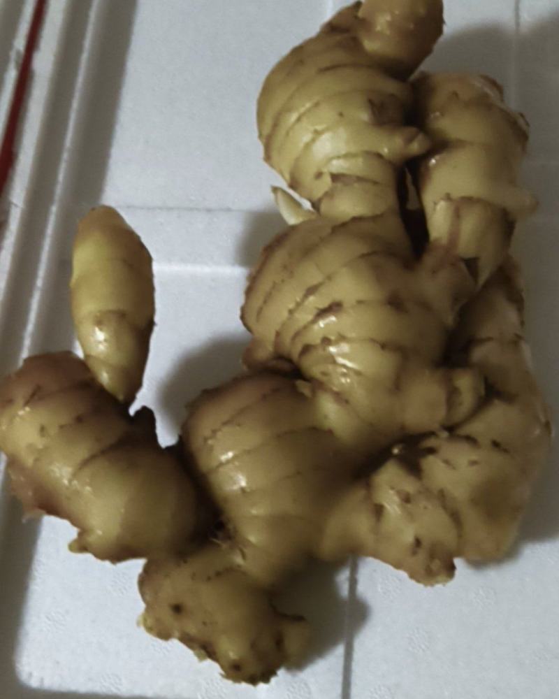 生姜