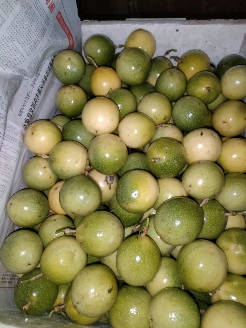 百香果，统果，次果，电商果，市场果，工厂果