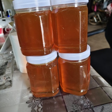 土蜂蜜
