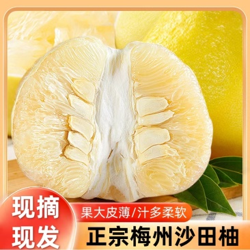 正宗梅州沙田柚