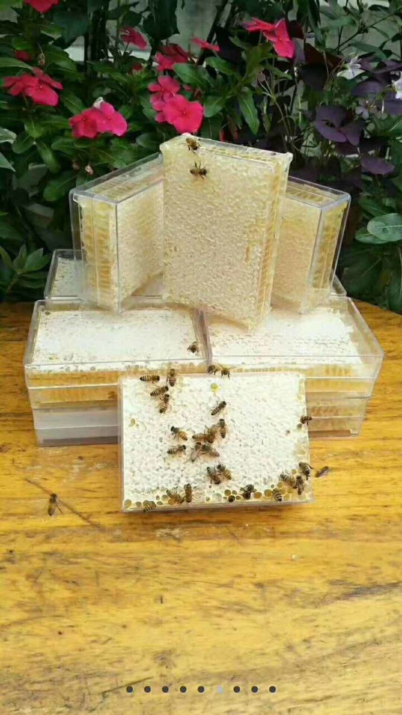 蜂蜜、意蜂蜂蜜、中华蜜蜂、土蜂蜜、巢蜜。