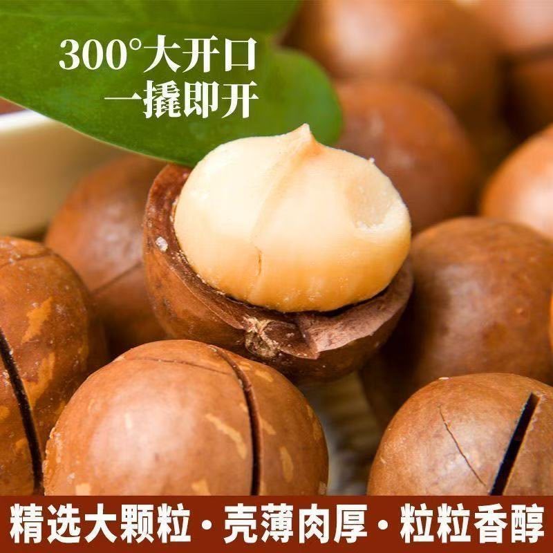 夏威夷果新货大颗粒，各大电商一键代发，批量拿货