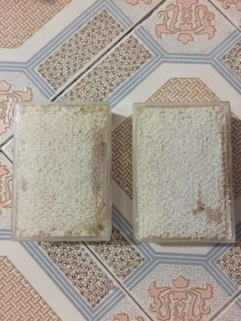 土蜂蜜