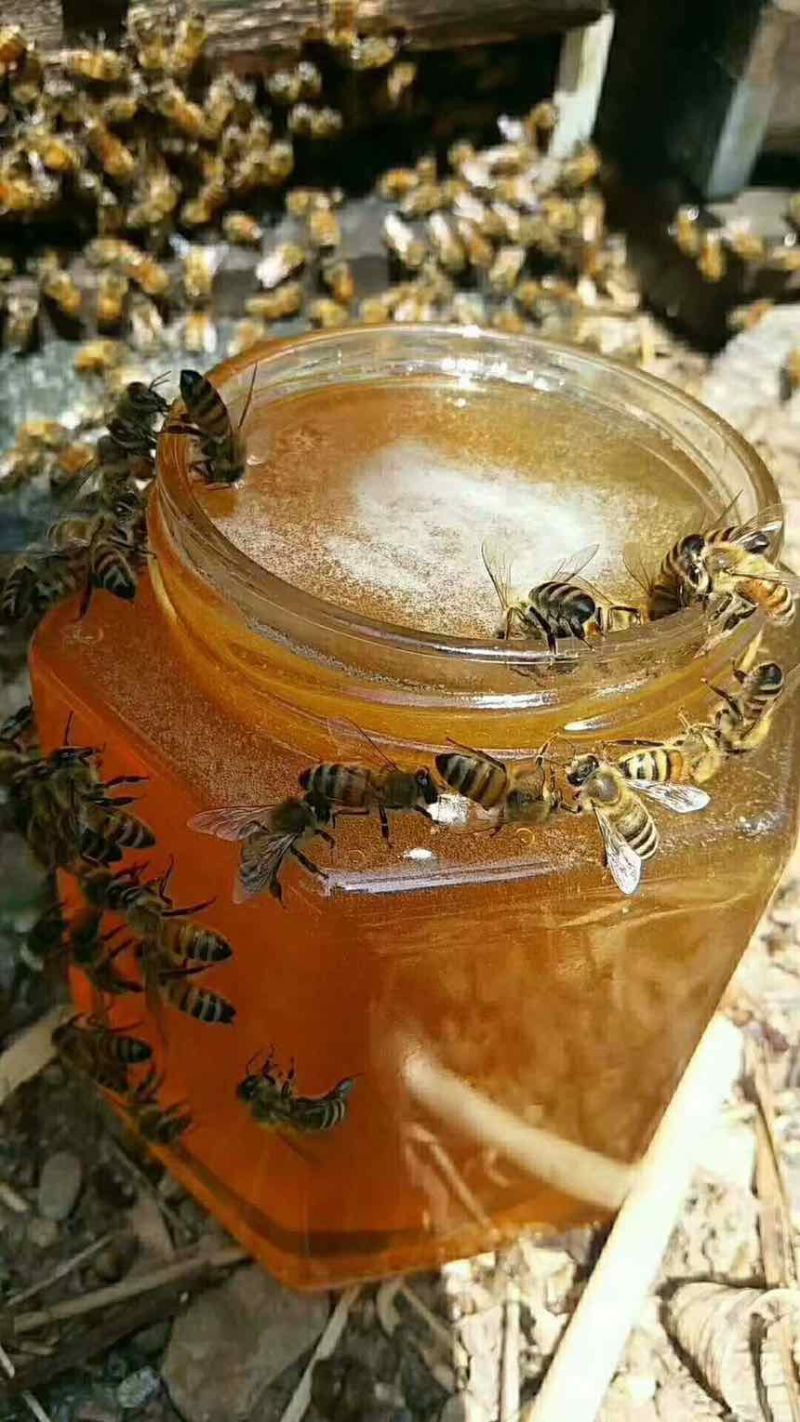 土蜂蜜
