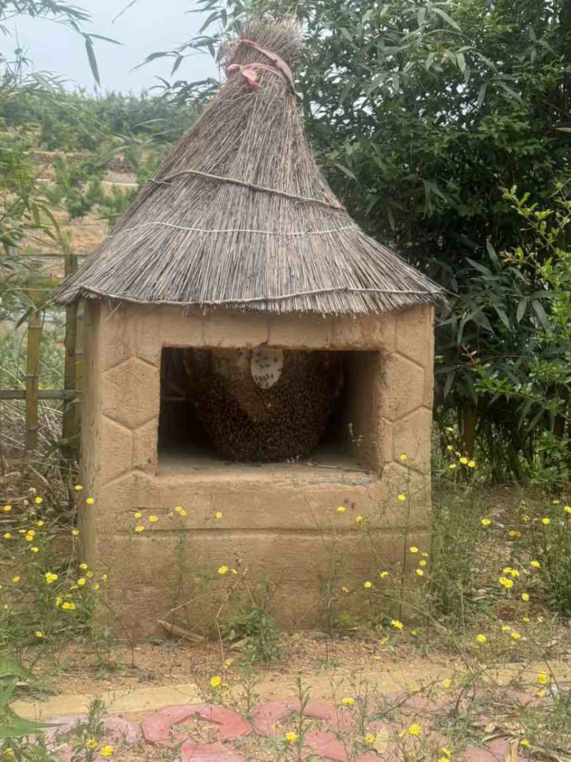土蜂蜜